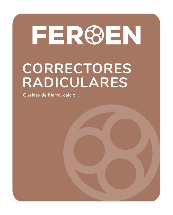CORRECTORES RADICULARES