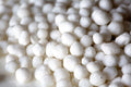 NITROGENOUS: CALCIUM AMMONIUM NITRATE 27% + S